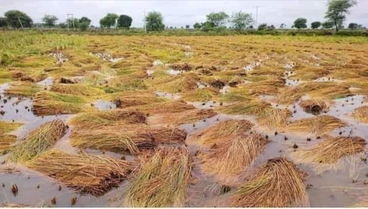 क्षतिको तथ्यांक संकलन गर्ने जिम्मा प्रदेश सरकारलाई