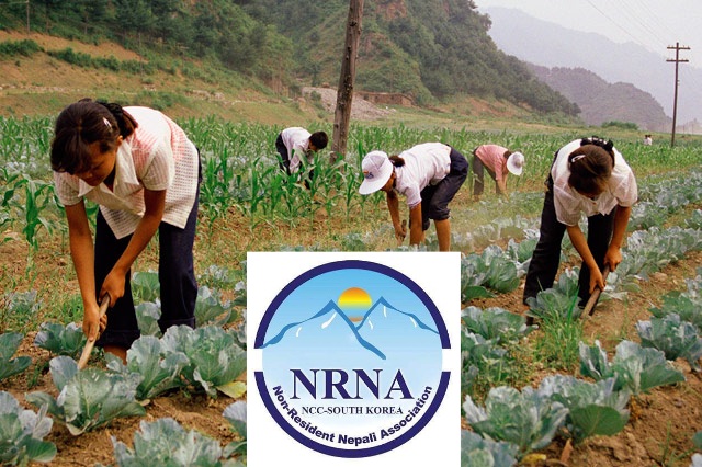 एनआरएनए कोरियाले आठ दिने 'कृषि उद्यम सम्भावना र चुनौती 'बिषयक तालिम सन्चालन गर्दै