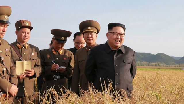 उत्तर कोरियामा क्रुरता : फुल नफुलेको भन्दै मालीलाई सजाय !